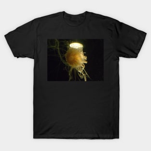 Golden Jellyfish Photo Print And Others T-Shirt